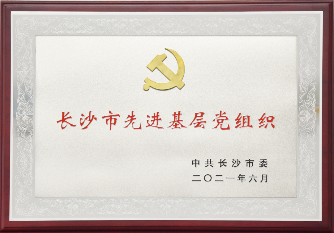 喜讯！长沙市“两优一先”表彰大会召开，J9国际站官方网站-J9集团喜获两项荣誉！